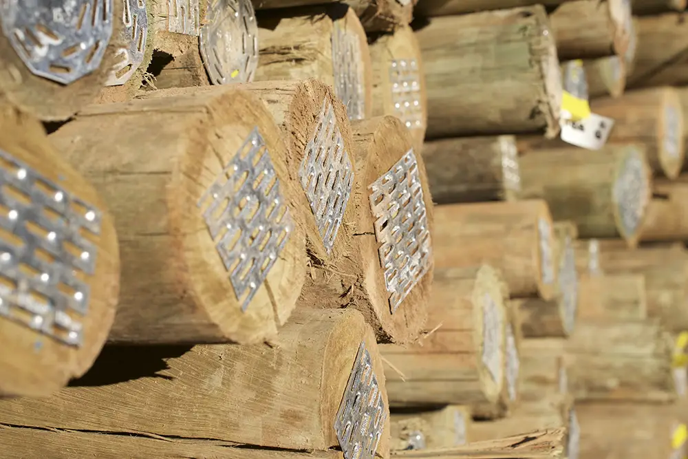 Treated Lumber.webp
