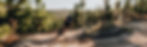 Garden-Route---MTB-Trail.jpg