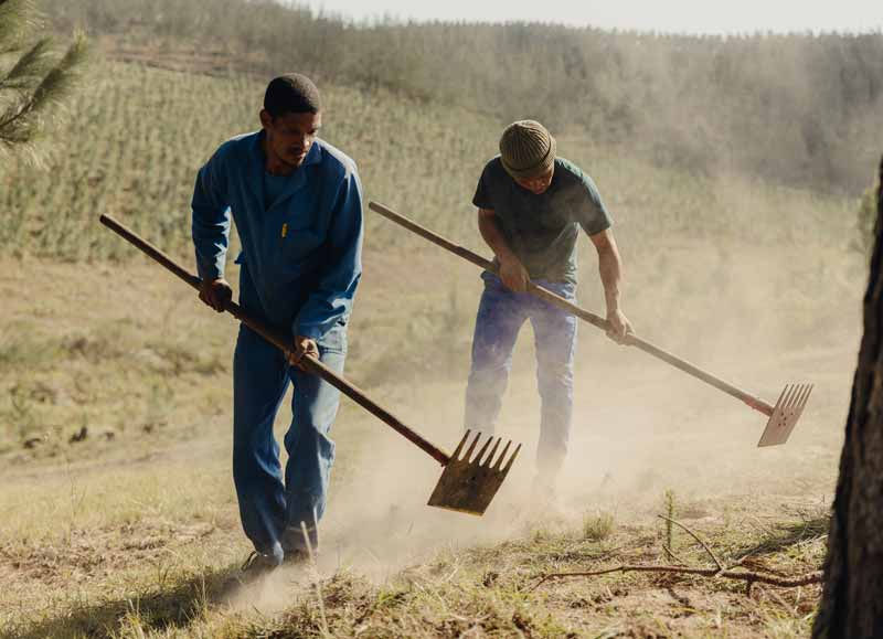 Firefighting team operating hoses around the base of a tree during the competition