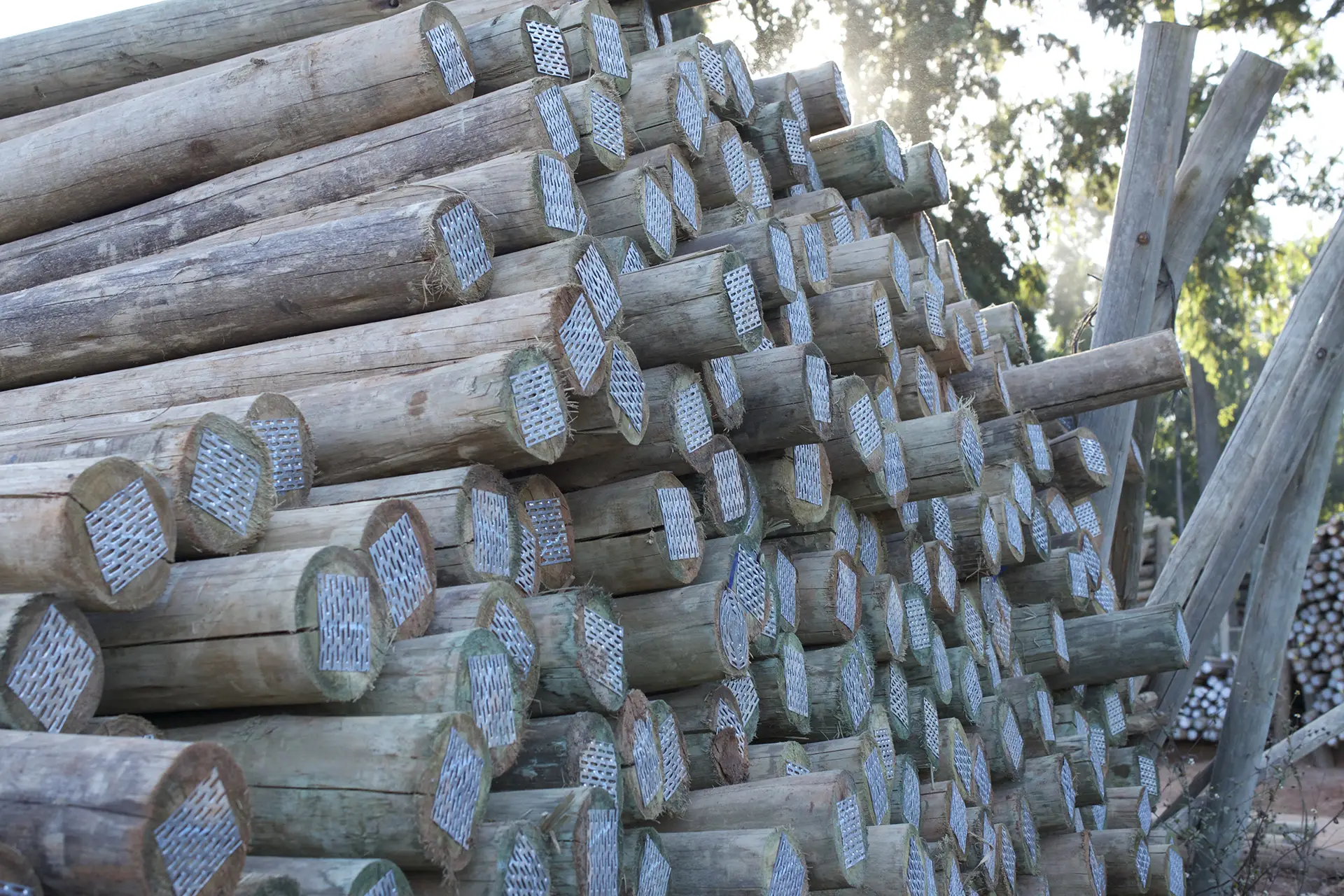 High Quality CCA treated pole stack