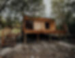 Website-Background.png