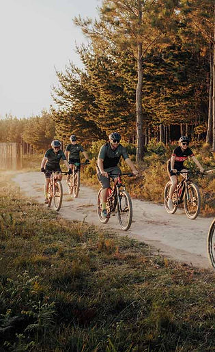 Cycling group riding through MTO Trails Garden Route