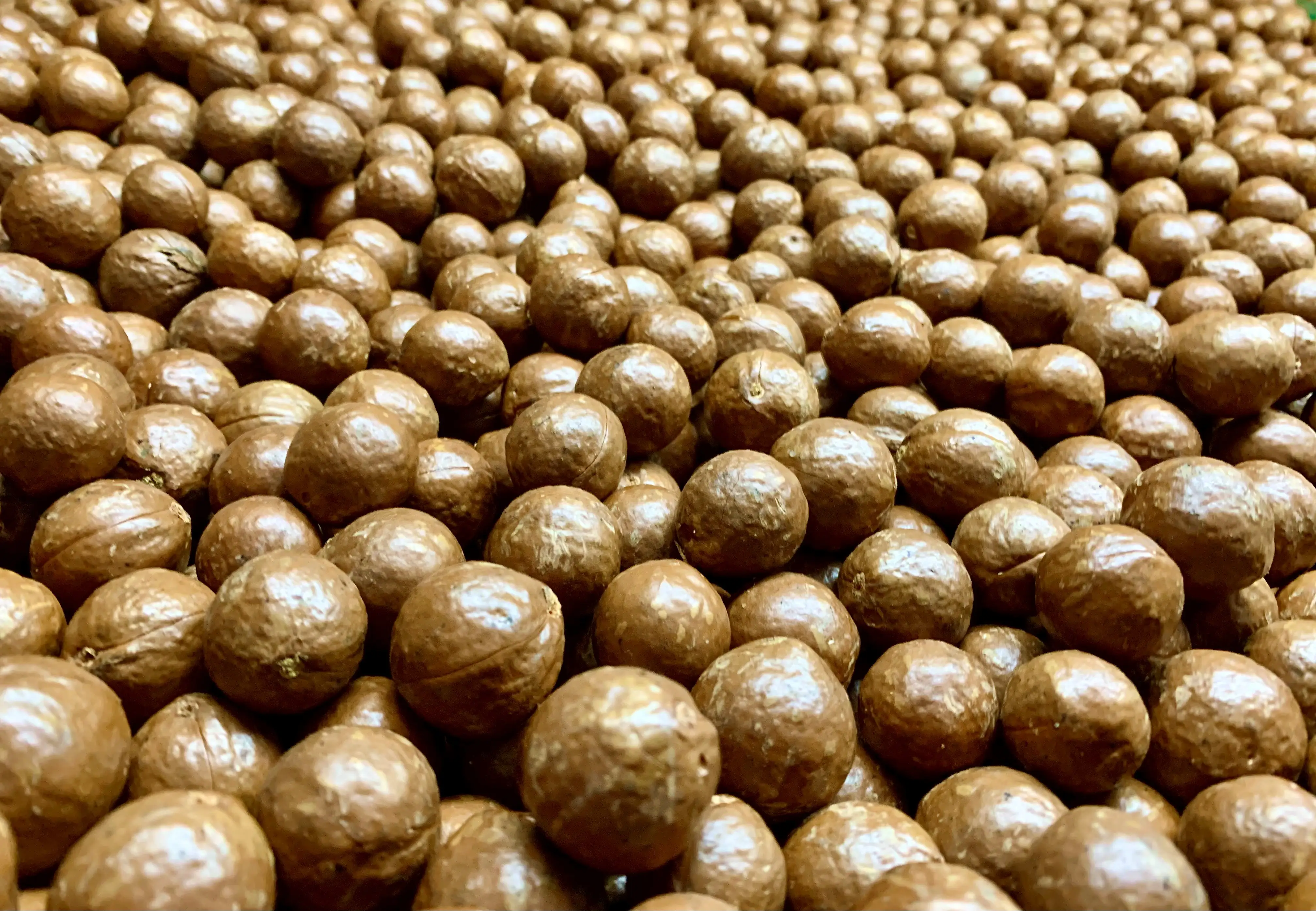 nuts 1.webp