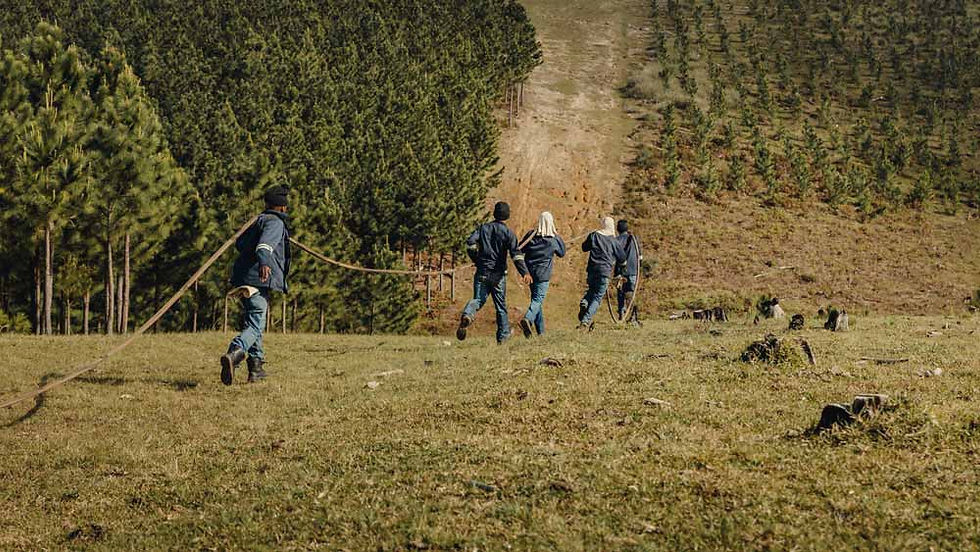 Firefighting team running into a plantation while carrying a hose