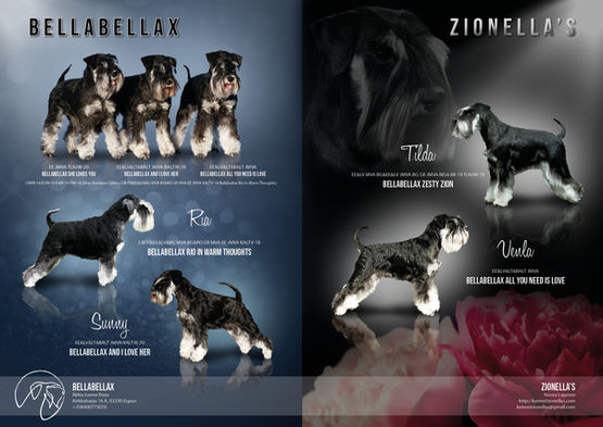 bellabellax_zionellas_annual.jpg