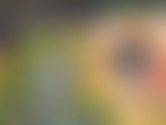 "Rāmāyana de Valmiki illustré par les miniatures indiennes du XVIᵉ au XIXᵉ siècle" - Petite Collection - Éditions Diane de Selliers