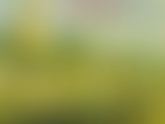 "L'Accordeur de piano" de Daniel Mason