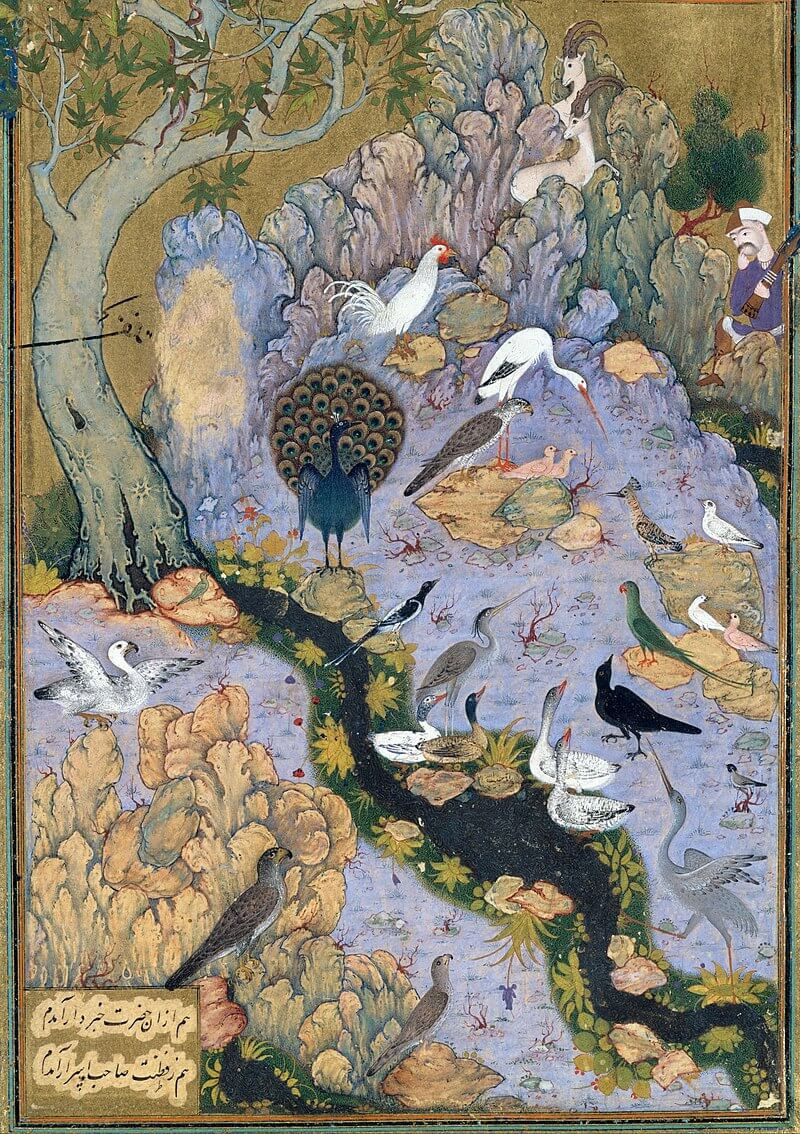 La Conférence des Oiseaux , Folio 11r from a Mantiq al-tair- Language of the Birds MET - DT227734