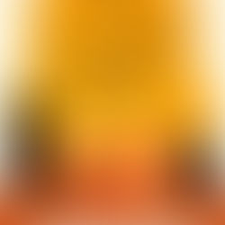 "Les chats au cœur d'ambre" de Nilanjana S. Roy 