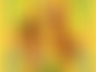 "Les Eaux brûlantes" de Bhavika Govil 