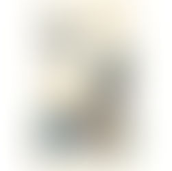 "Un puma dans le cœur" de Stéphanie Dupays 🇫🇷 - Prix littéraire de l'Académie Nationale de Médecine