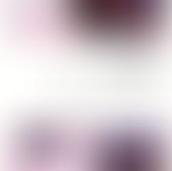 "Miss Laila armée jusqu'aux dents" de Manu Joseph