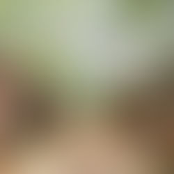 "Aiyanar, dieu protecteur des villages tamouls" par Jean-Louis Cardin