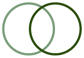 Asset 3.png