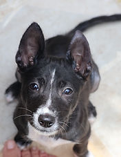 WhatsApp Image 2026-01-26 at 11.26.12 (2).jpeg