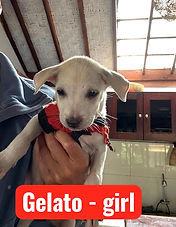 WhatsApp Image 2026-02-27 at 09.15.43 (5).jpeg