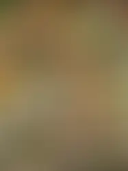 Sustainability Meets Freshness: FreshTik’s Secret to Longer-Lasting Produce