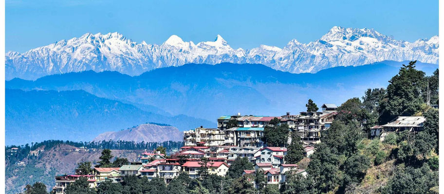 Shimla’s Green Spaces: Top Eco-Tourist Attractions