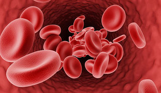 Beta-Thalassemia: An Overview
