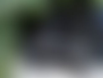 同樣是單缸也再次向老英致敬 不過這一回素體源自SR400!