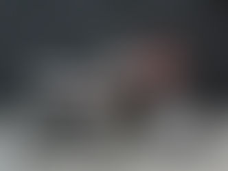 重生!還多了更濃的老味 - Hide Work Custom W800