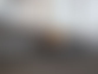 從VMX路線切入的Wedge Motorcycle W650