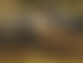 ICON 1000 - Days of Thunderdome