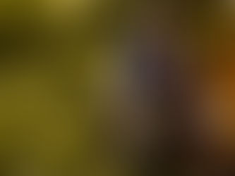 No Matter Track or Street!