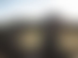 除了機能性之外 更給你好看頭
Rare Bird London Face Mask