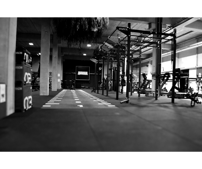 Trainingsgedeelte