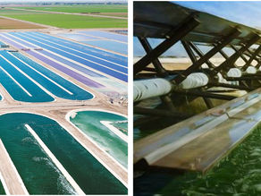 DIC Strengthens Environmental Investments into Outdoor Mass Algae Cultivation Facilities
