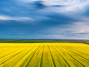 The Worldwide Agrochemicals Industry is Expected to Reach $259.5 Billion by 2027