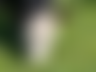 Ranch Group Celebrates Strong Calf Sale Fundraising Support at Annual Convention