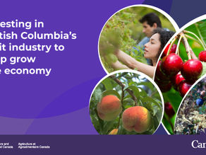 Government of Canada invests in British Columbia’s fruit industry to help grow the economy