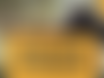 How to Fix Food Insecurity: with The Shepherdess