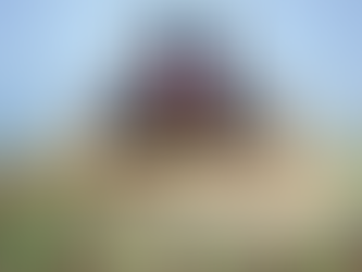 Ag Business Council Recognizes Young Leaders in Agribusiness