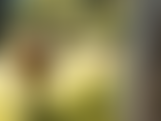 Scholarships Help Producers Attend Cattle Industry Convention