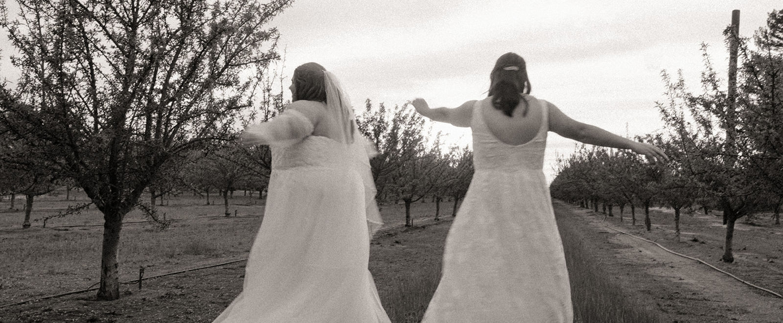lesbian wedding LGBTQ wedding