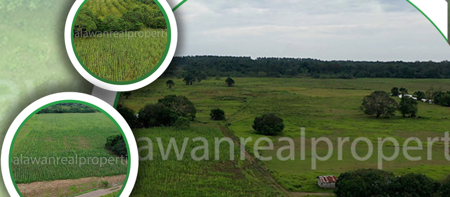 "Fertile Ground: Ideal Farm Lot for Planting Your Dreams"