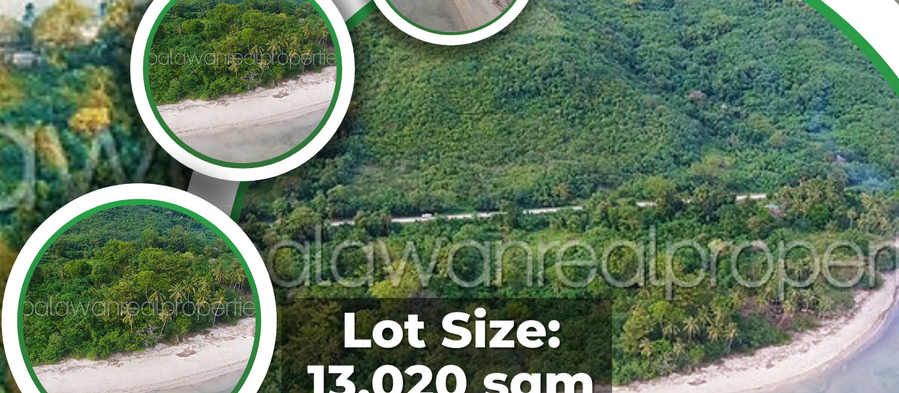 Prime Beachfront Paradise: An Exceptional Investment Opportunity