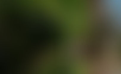 VERDANT BY VISTA MANORS