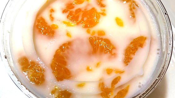Mandarin Milk Jello