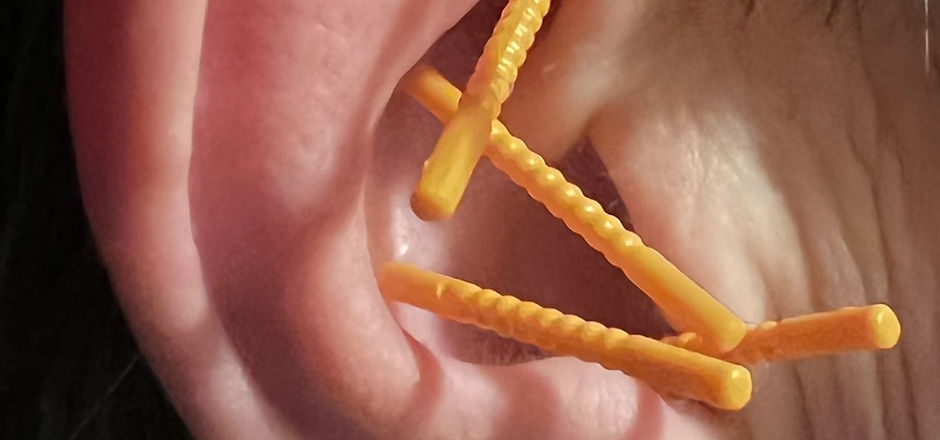 nada ear.jpg