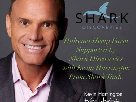 Halsema Hemp Farms now supported by Shark Discoveries with Kevin Harrington from Shark Tank! 2022