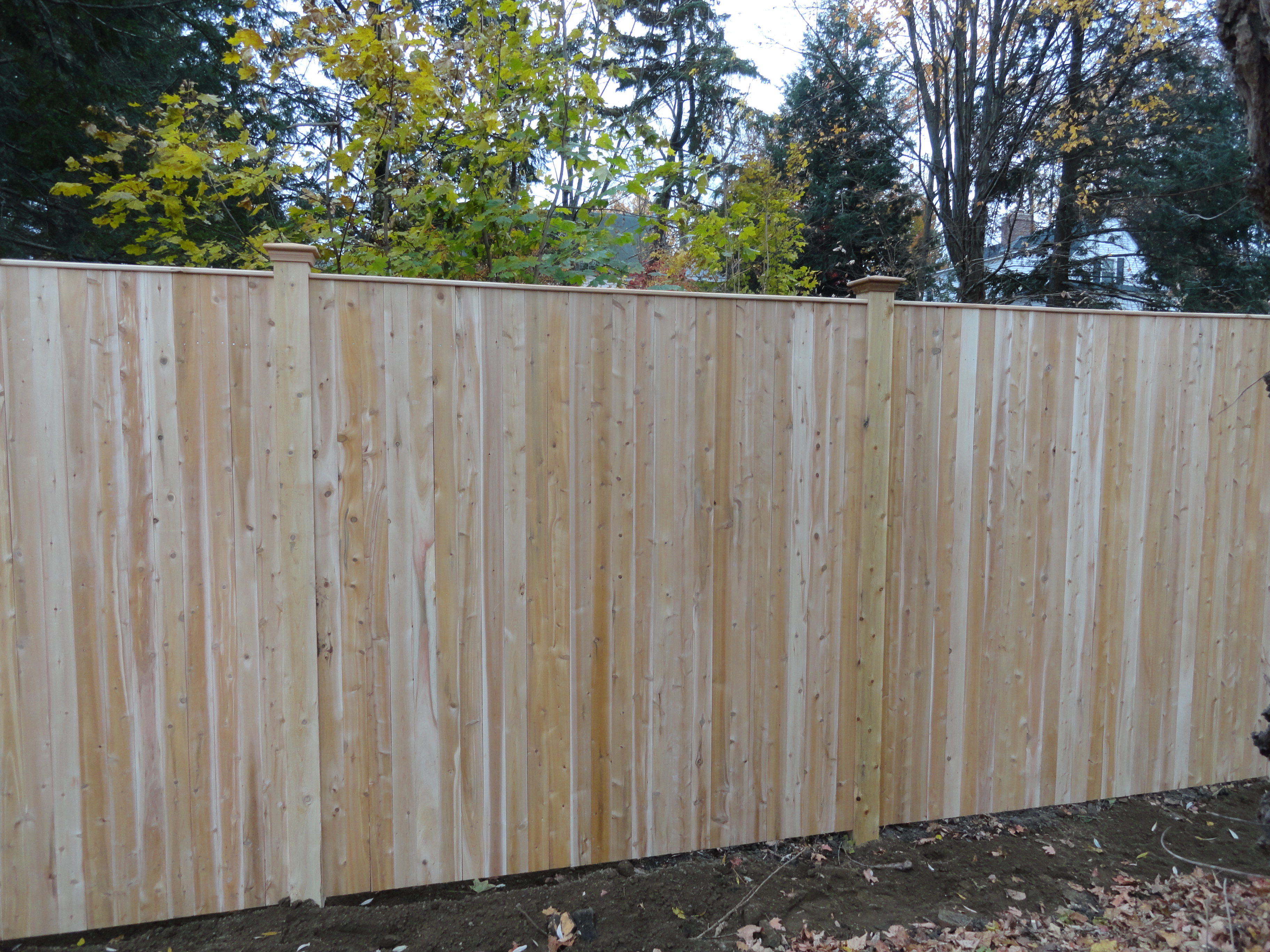 Cedar Board Panels