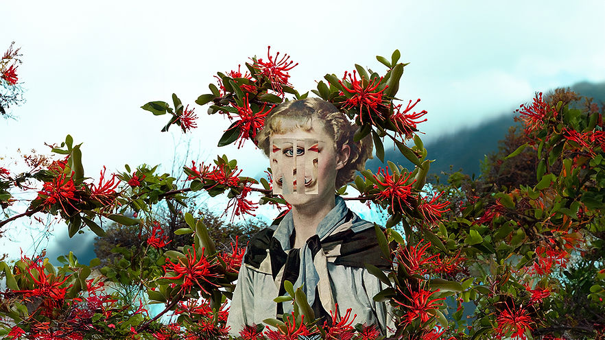 fondoretrato BAJA.jpg