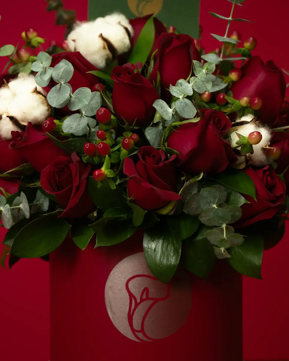 Miniatura: Box Burdeos