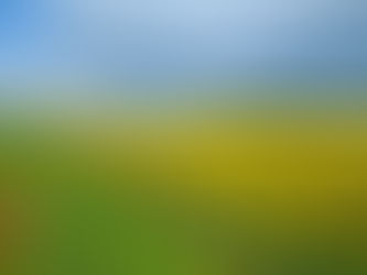 A Week in the Life of ASEE: Germany Edition✈️💗