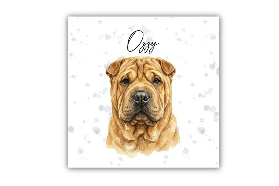 Thumbnail: Shar Pei
