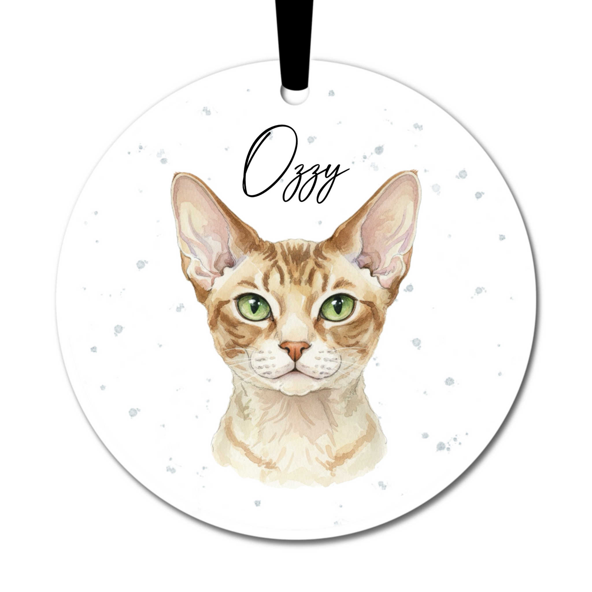 Devon Rex